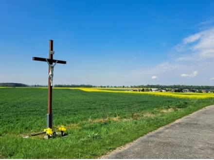 Park Ridge, IL personal injury lawyer